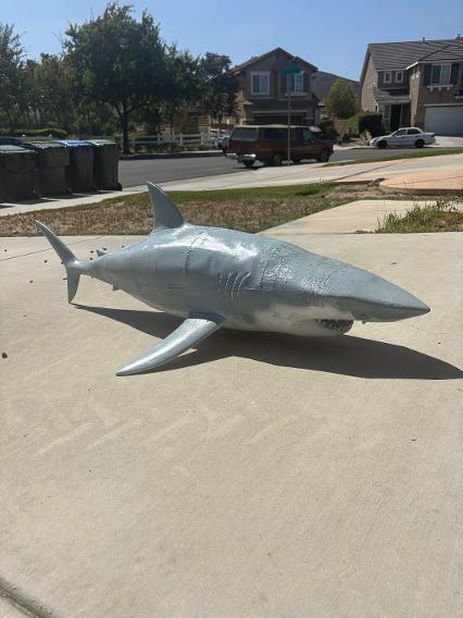 life size great white shark