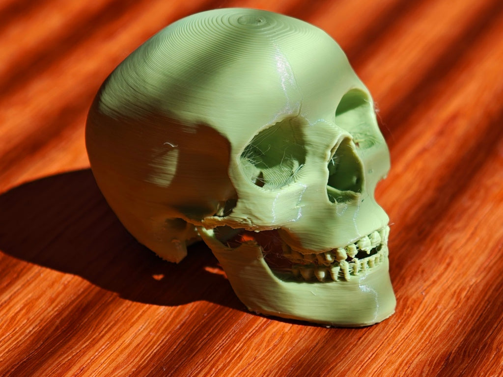 Skull
