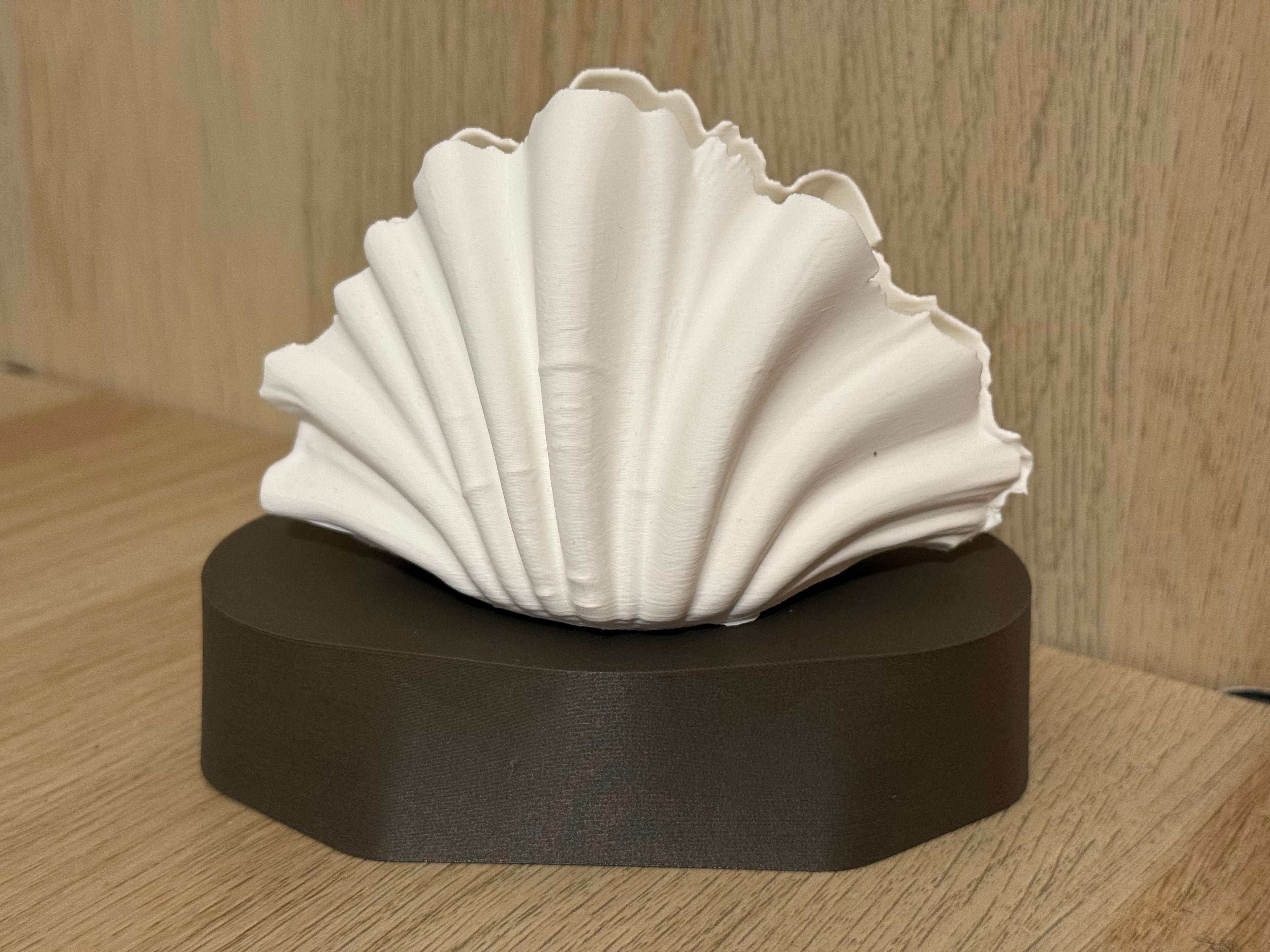 Fan Shell LED Lamp — Soft Warm Ambient Light