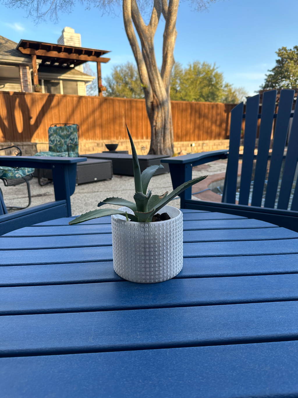 Bumpy planter v5