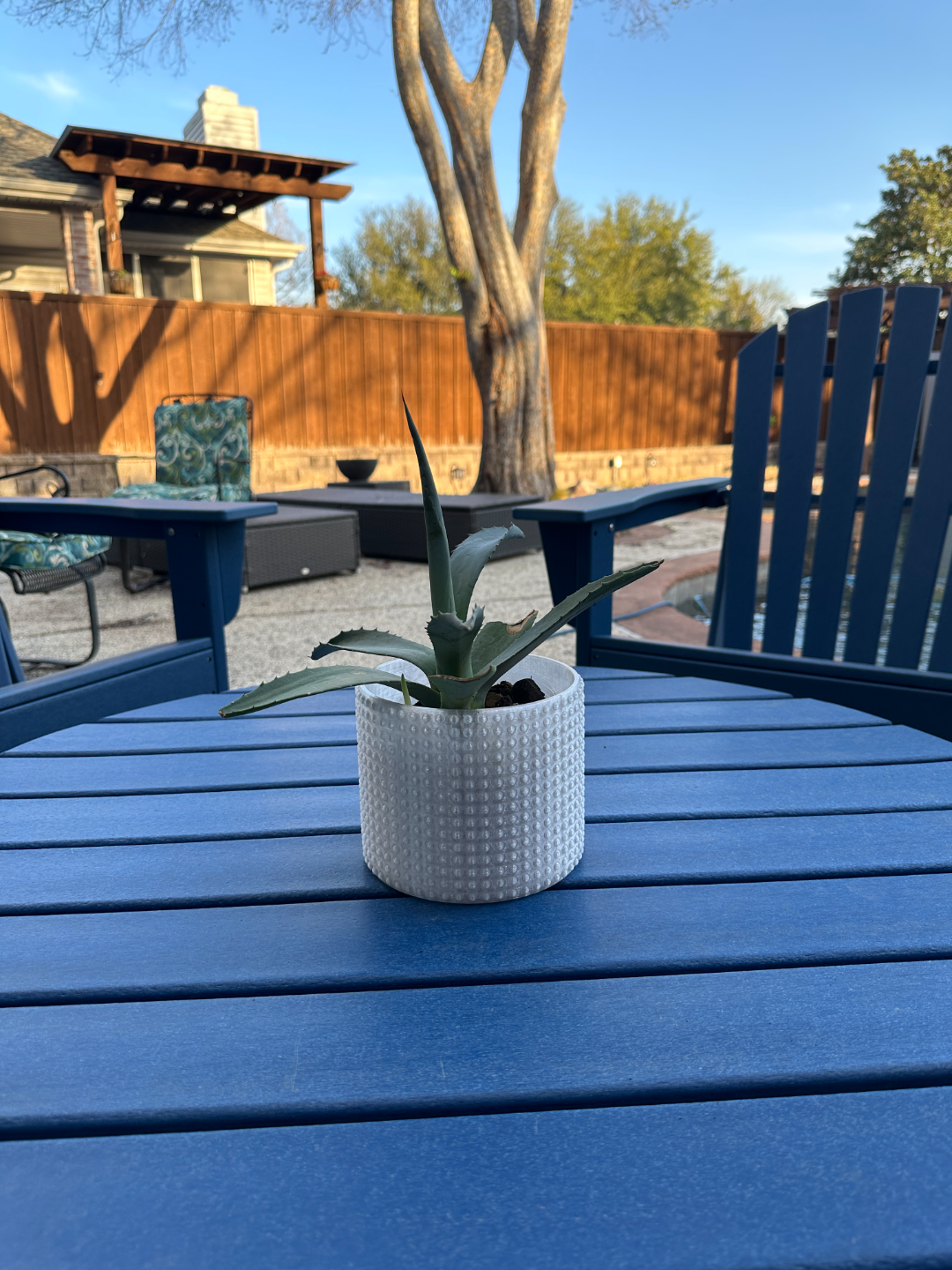 Bumpy planter v5