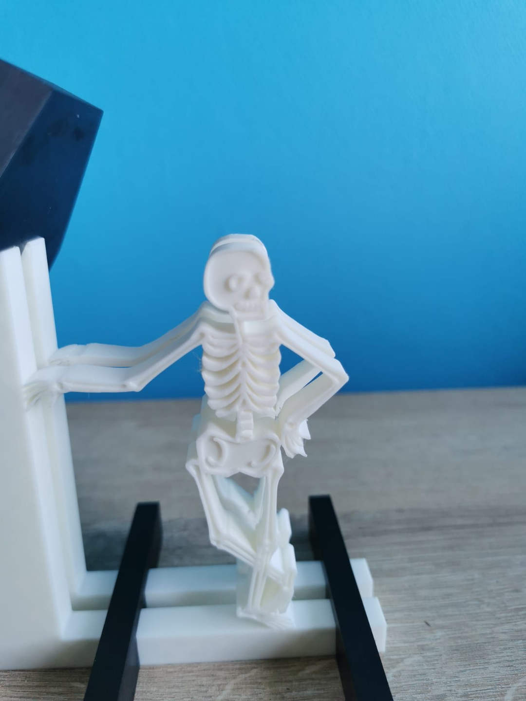 Skeletons phone stand