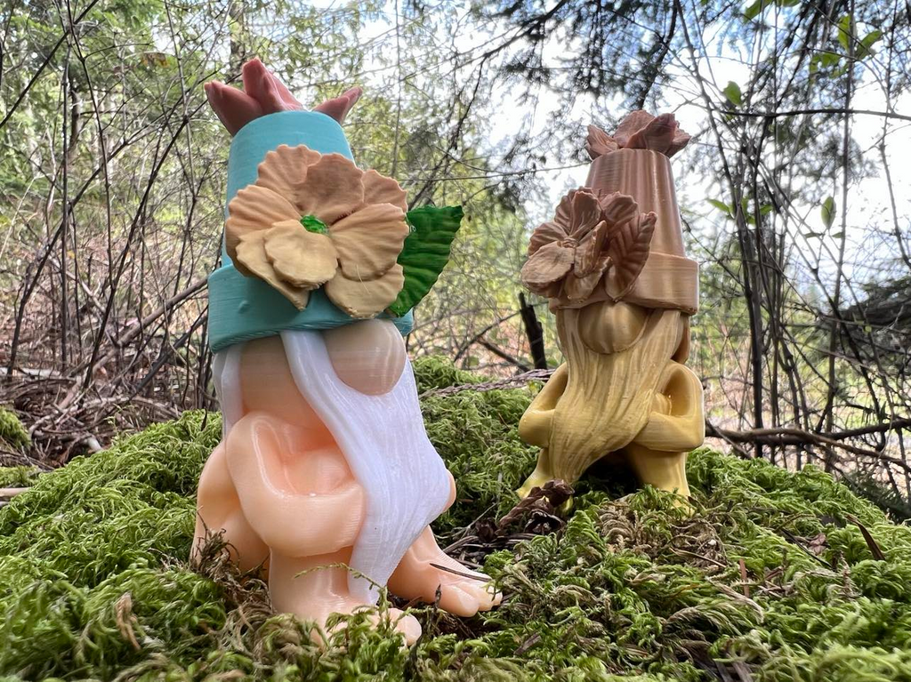 Sneaky Garden Gnome