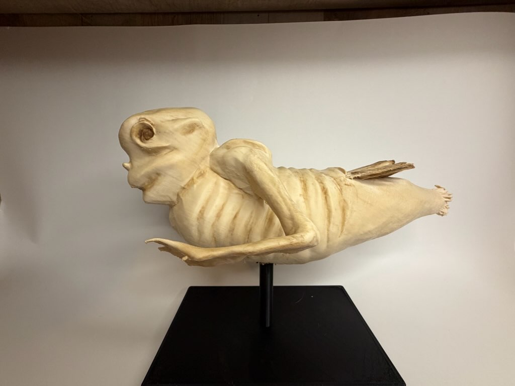 Fiji mermaid