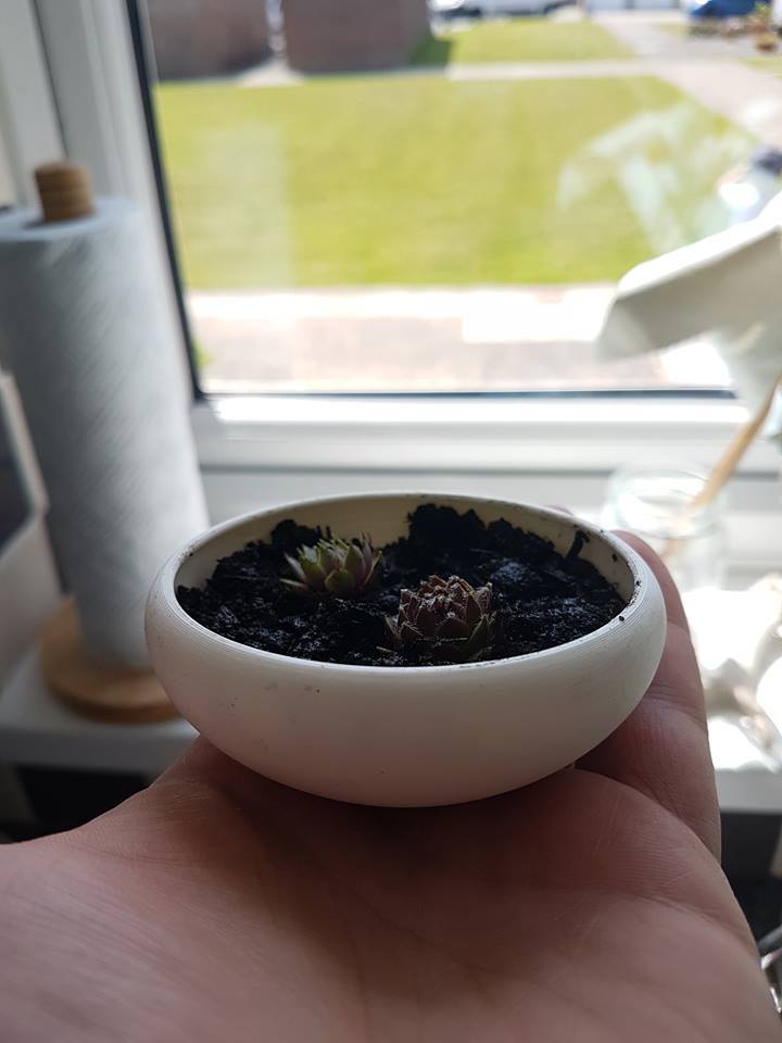 Simple Succulent Pot