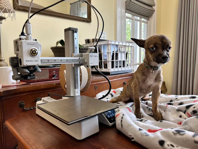 Dog Helmet - Getting Adoption Family a 3D Printer