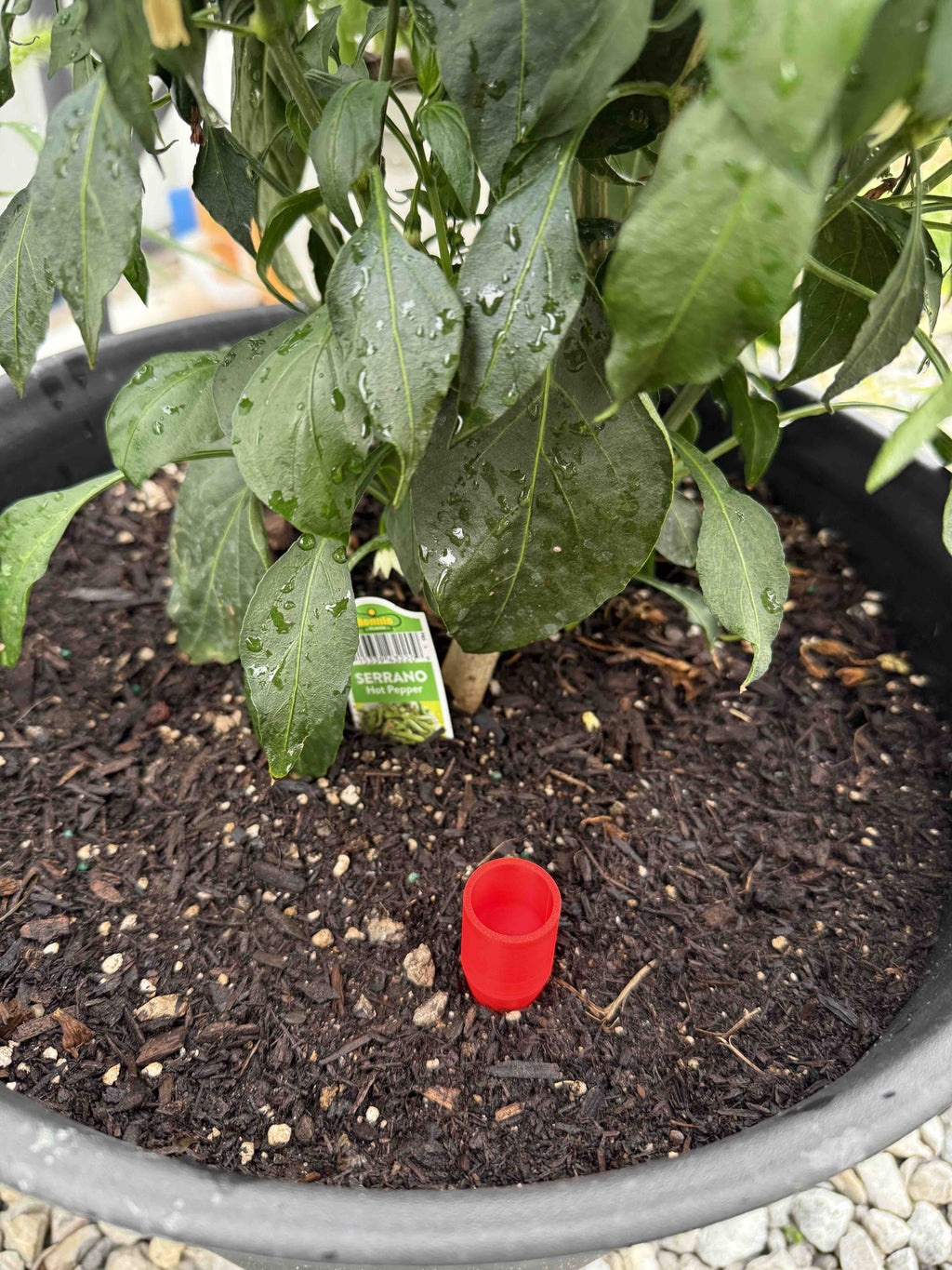 Pocket Watering Gauge