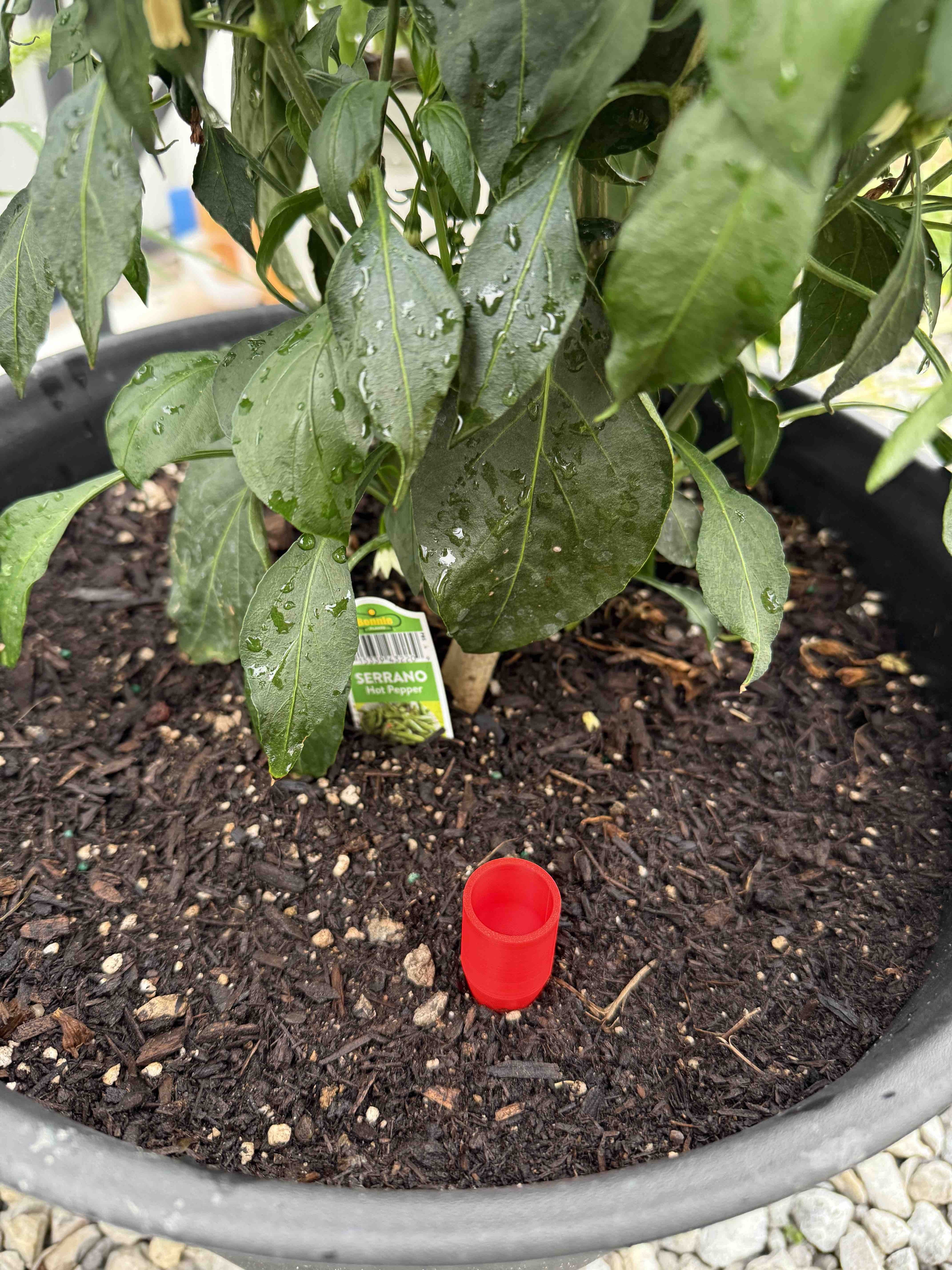 Pocket Watering Gauge