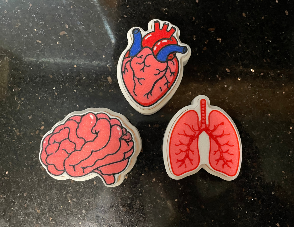 Anatomical Heart Clicker