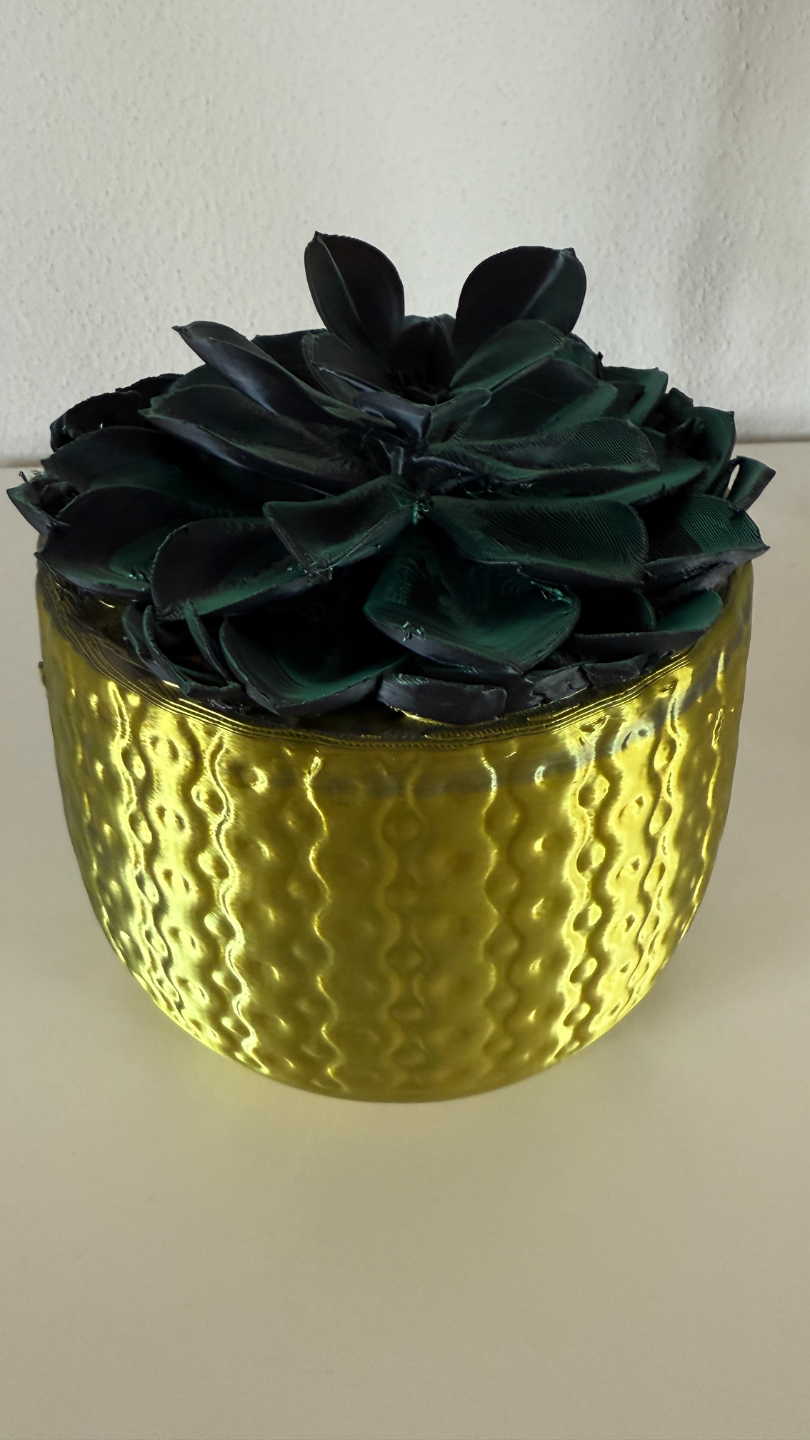 Flower in a pot - květináč netřesk