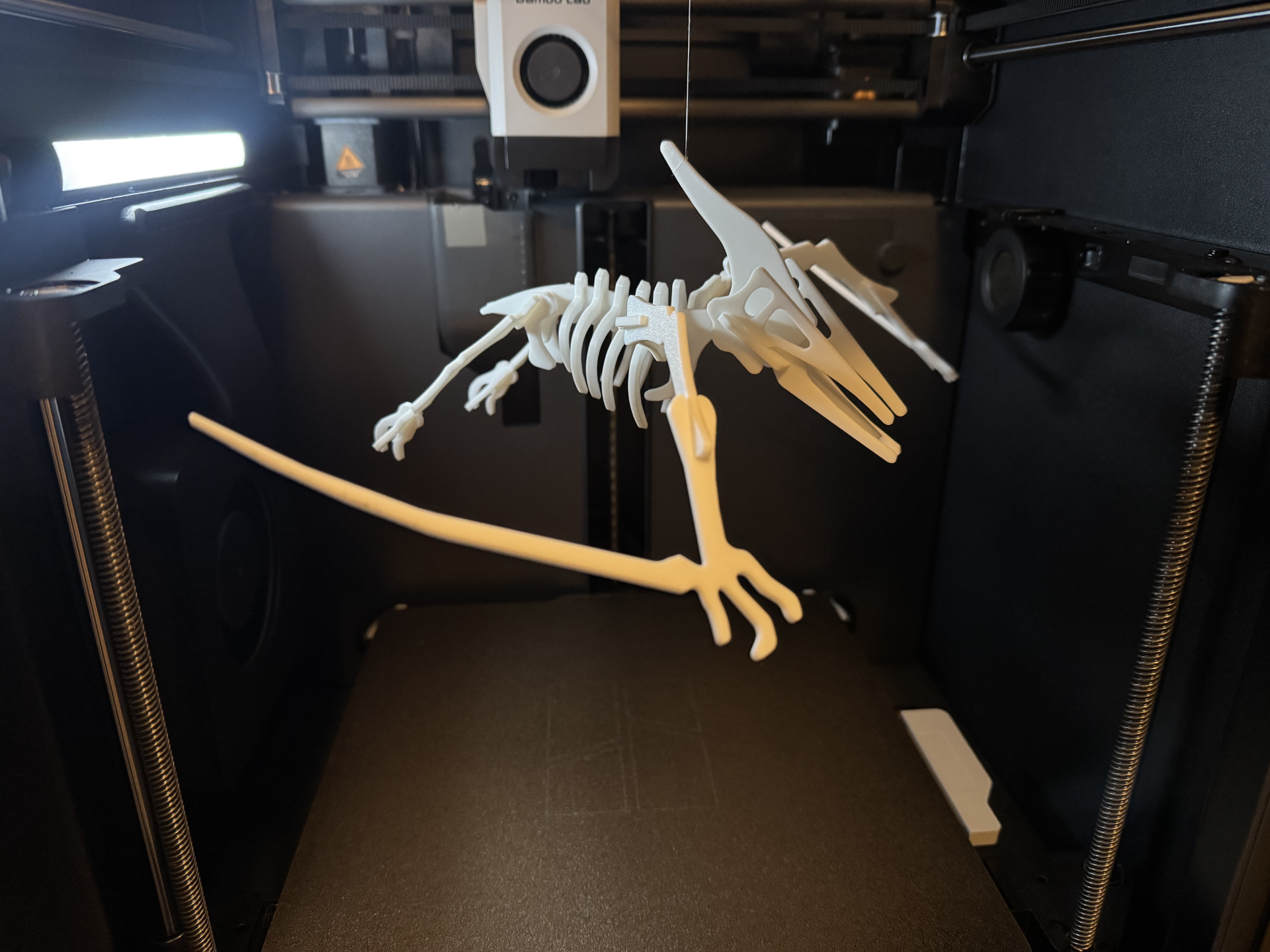 Pterodactyl Dinosaur Skeleton Puzzle