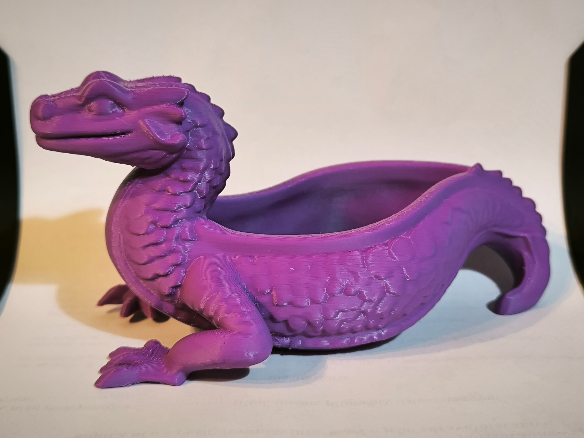 Youth Dragon - Bowl / Tray