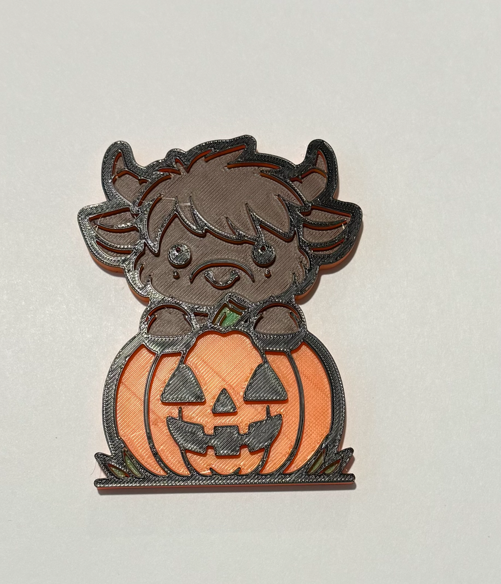 Baby Highland Cow in A Pumpkin