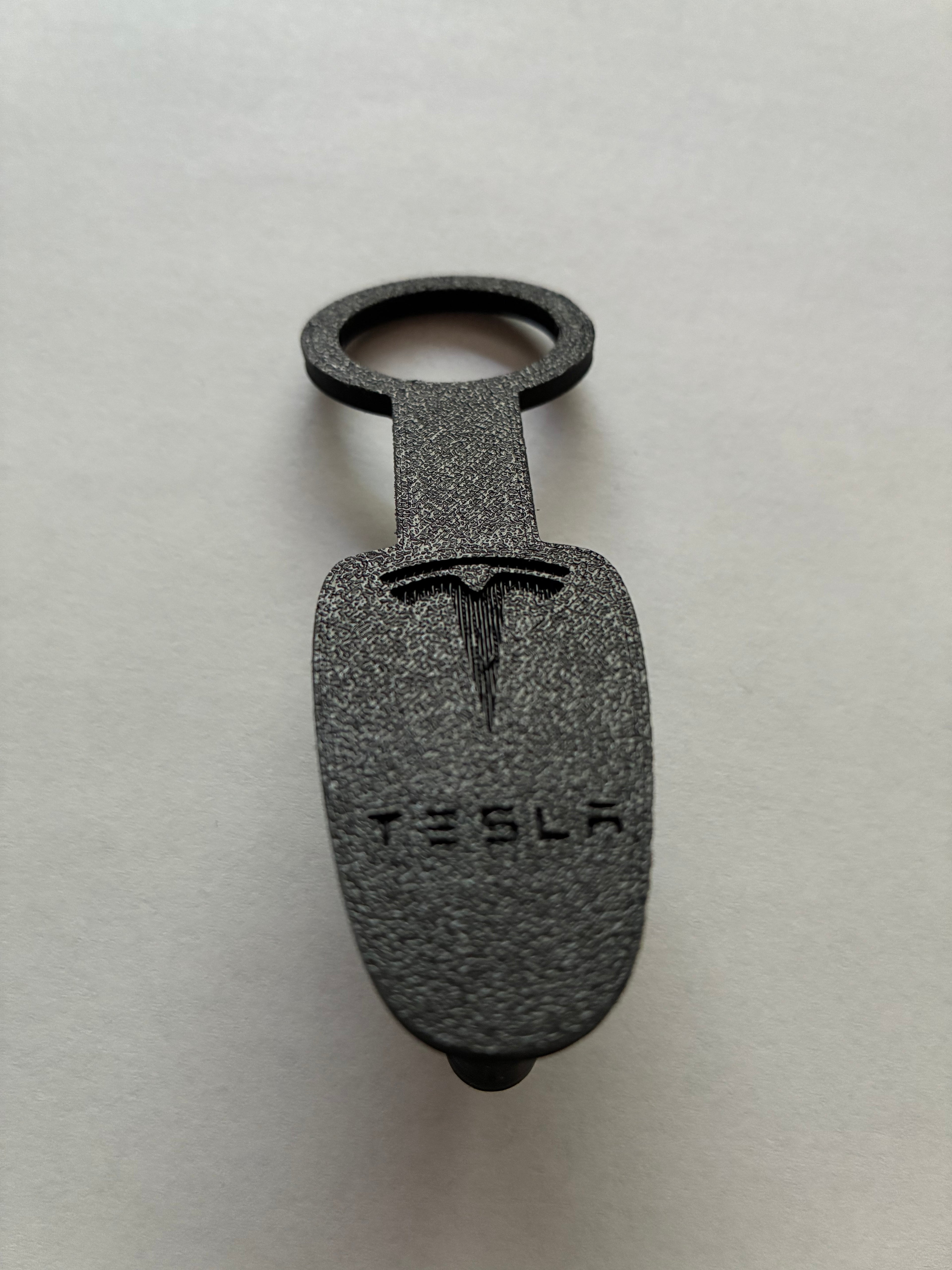 Tesla Doorlock