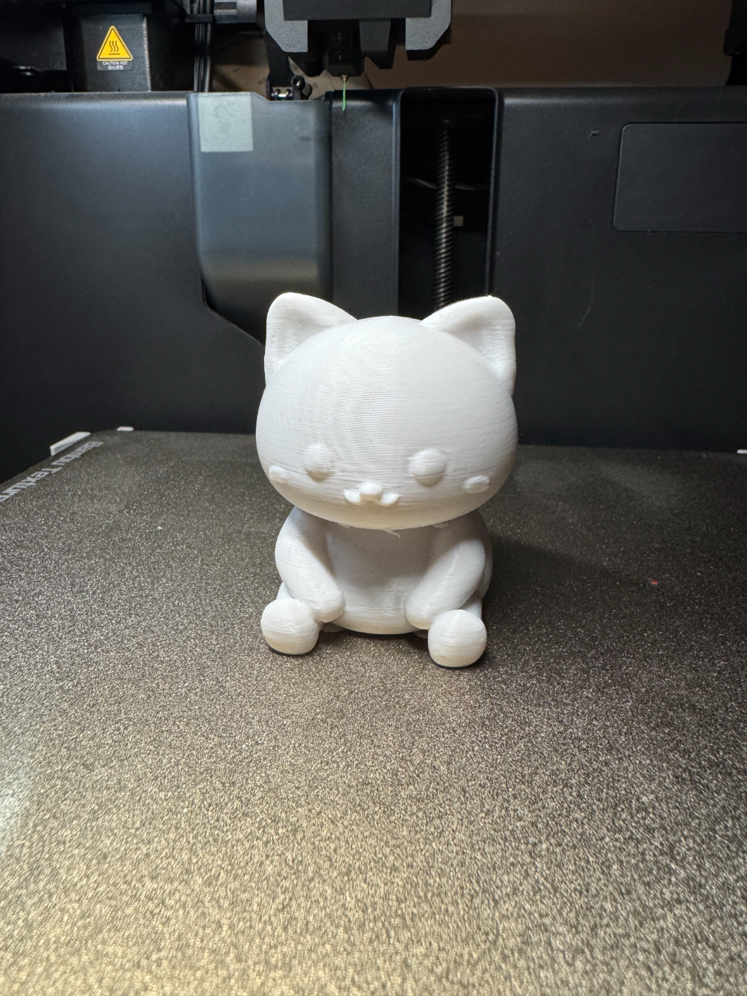 Cute cat (sell it!)