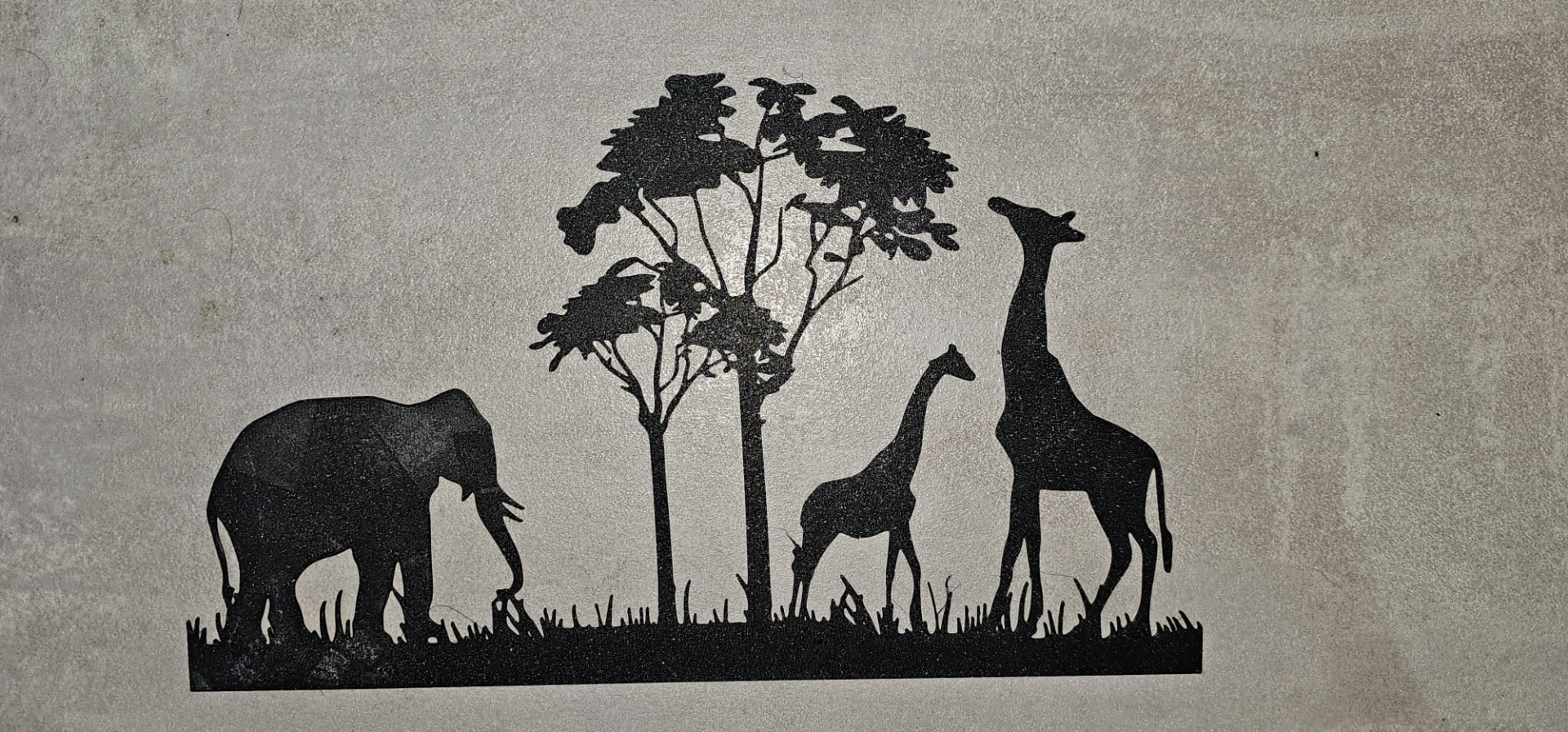 Safari