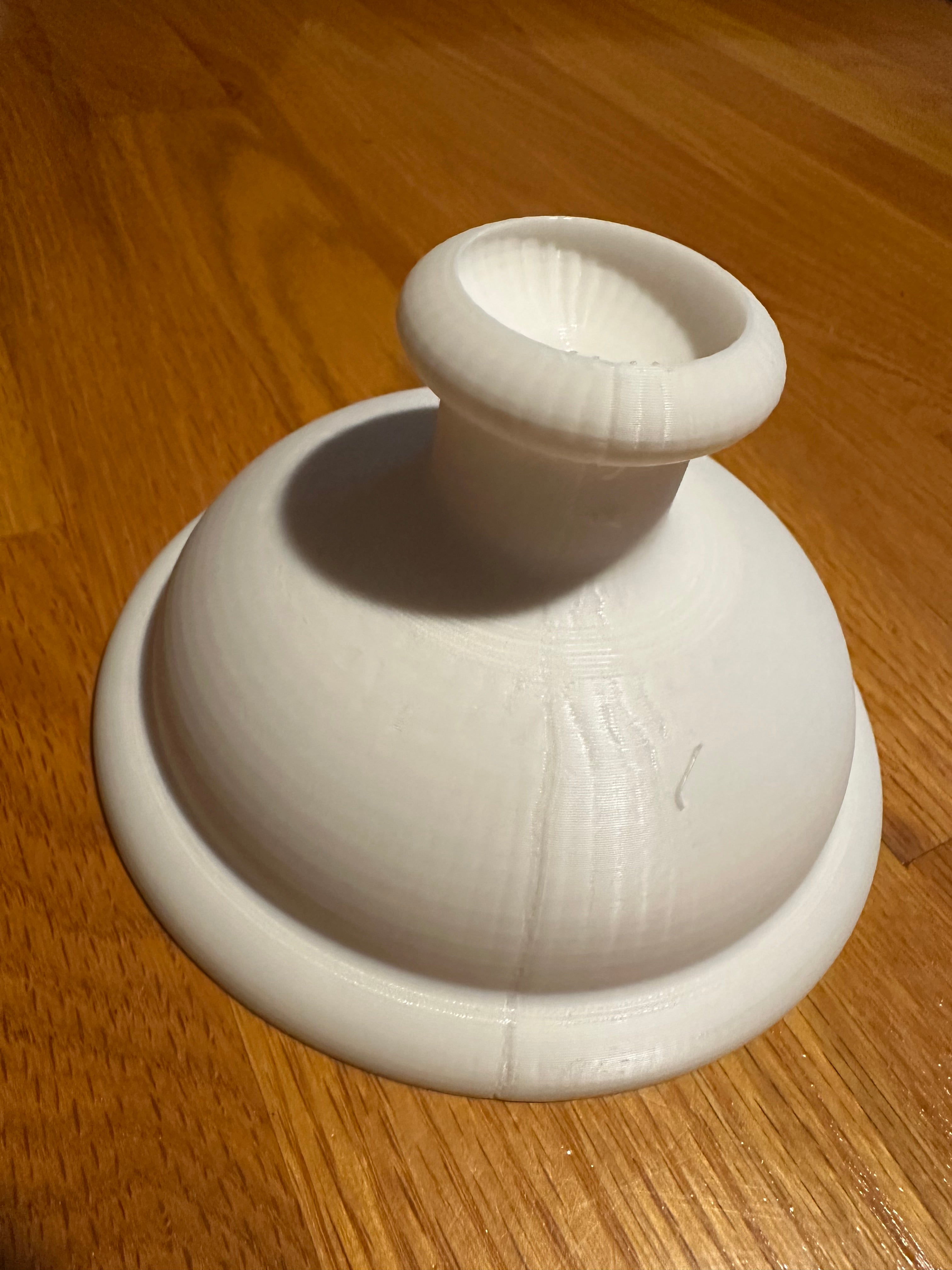Trombone plunger mute