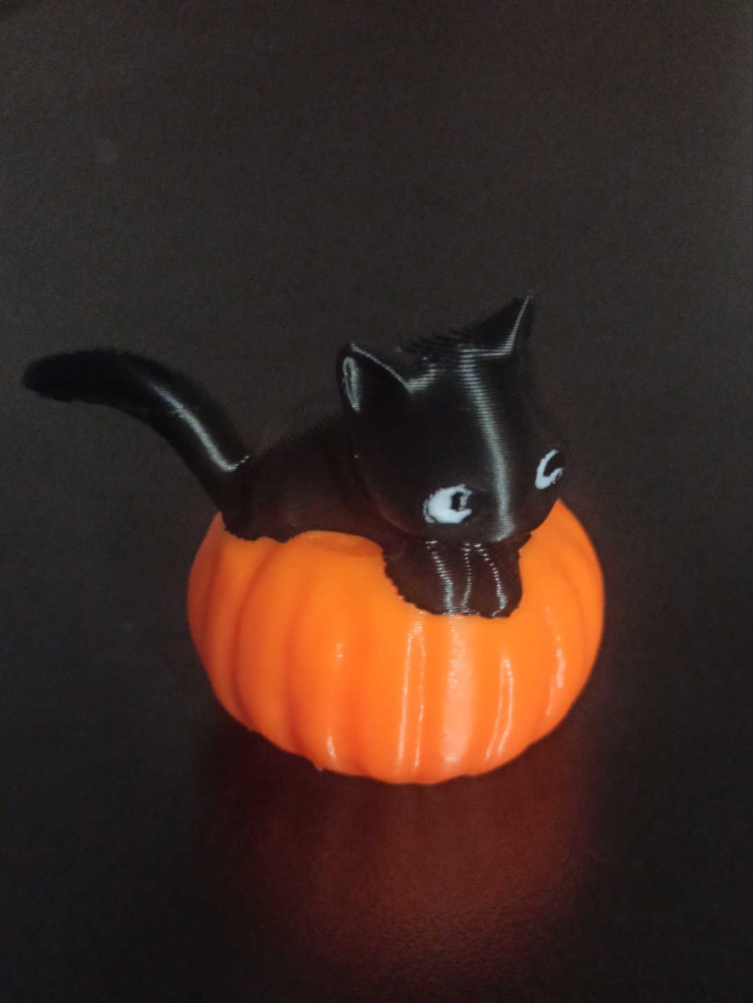 Halloween cat on pumpkin