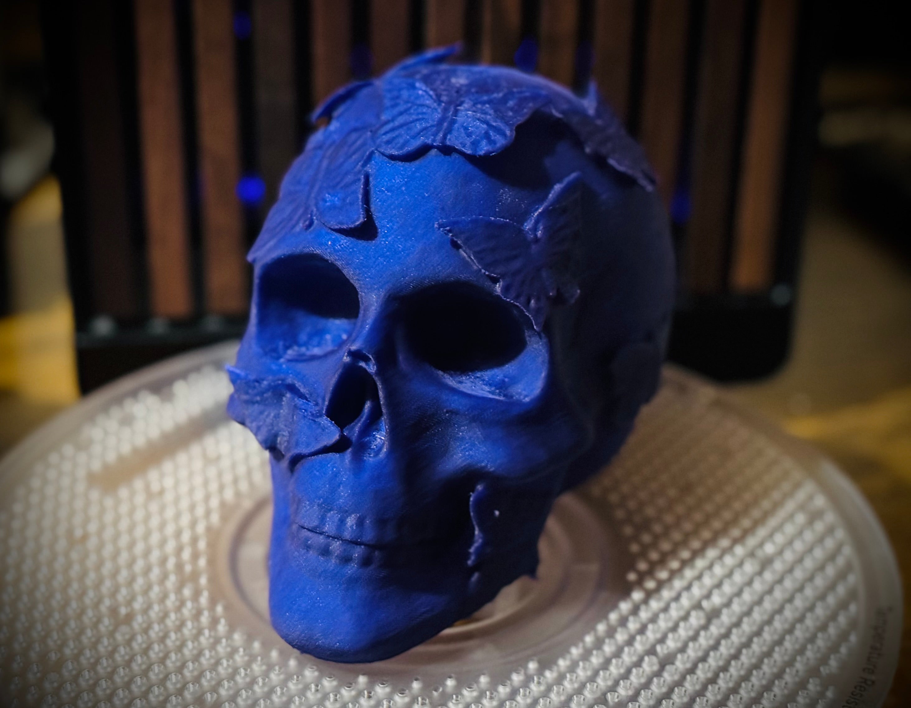 Butterfly Skull