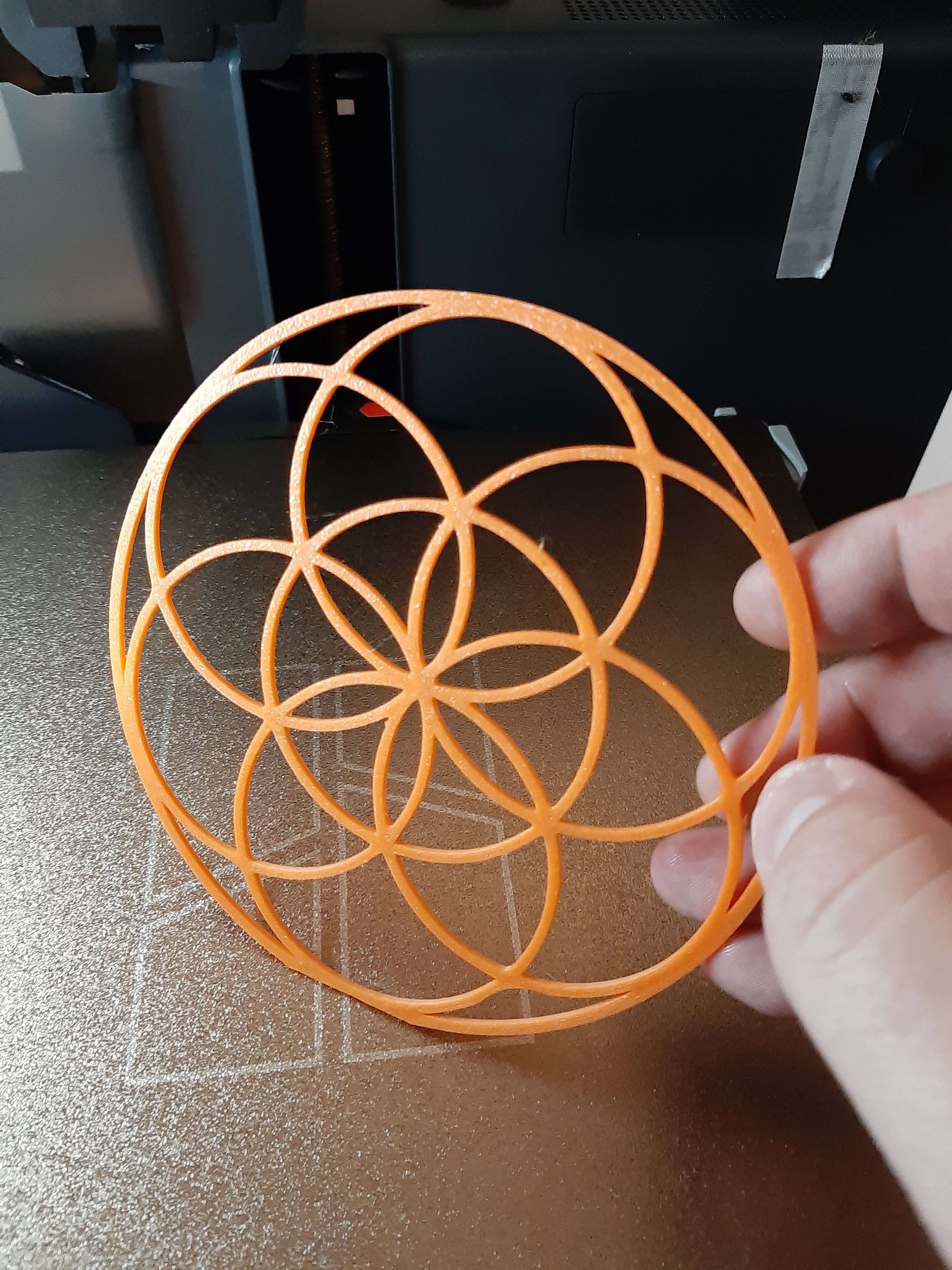 Seed of Life
