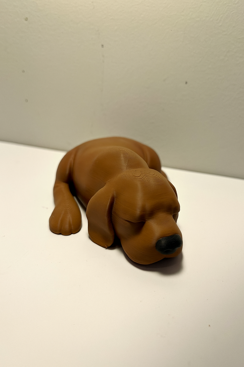 Sleepy dog