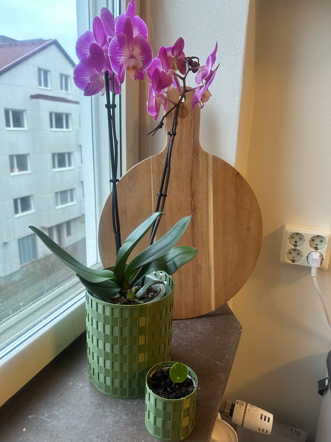 Weave inspired plant pots