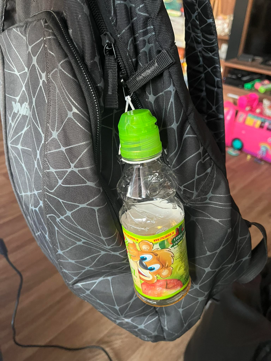 Pet bottle holder for backpack, belt