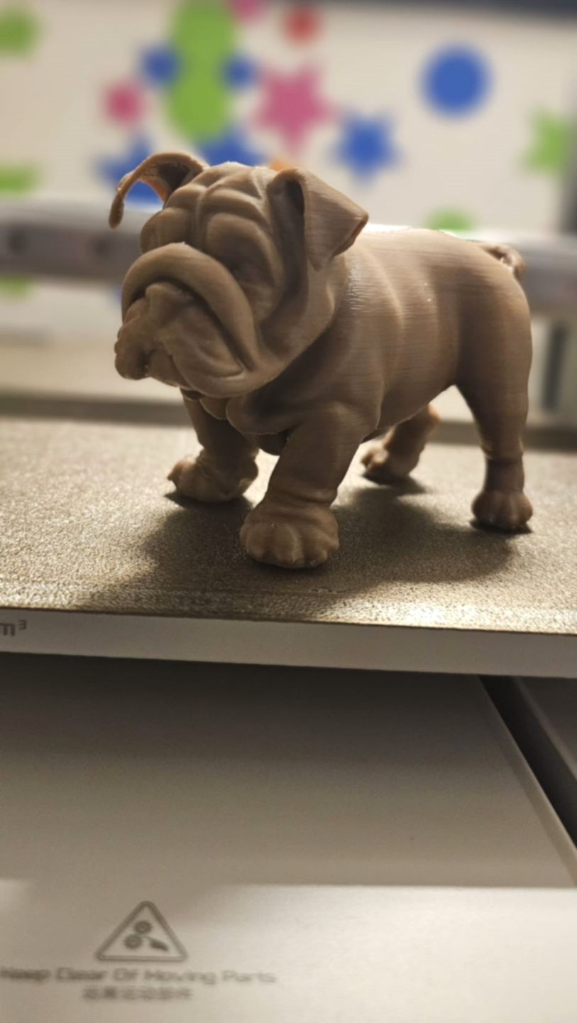 BULLDOG (Realista)