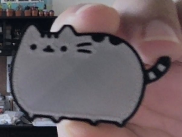 pusheen cat