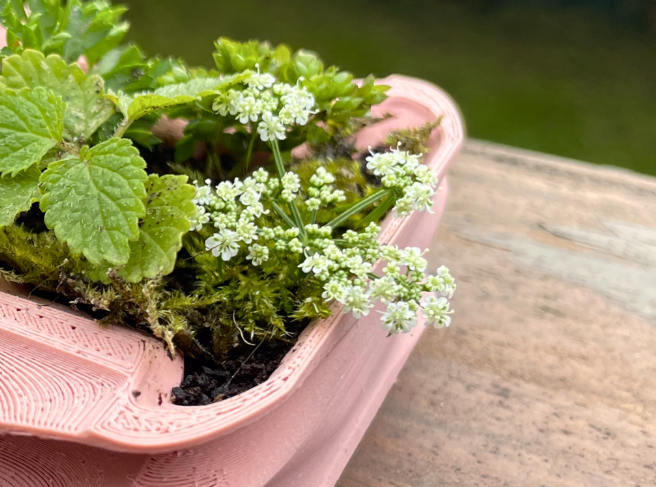 Wave Pot (Multiple Sizes)