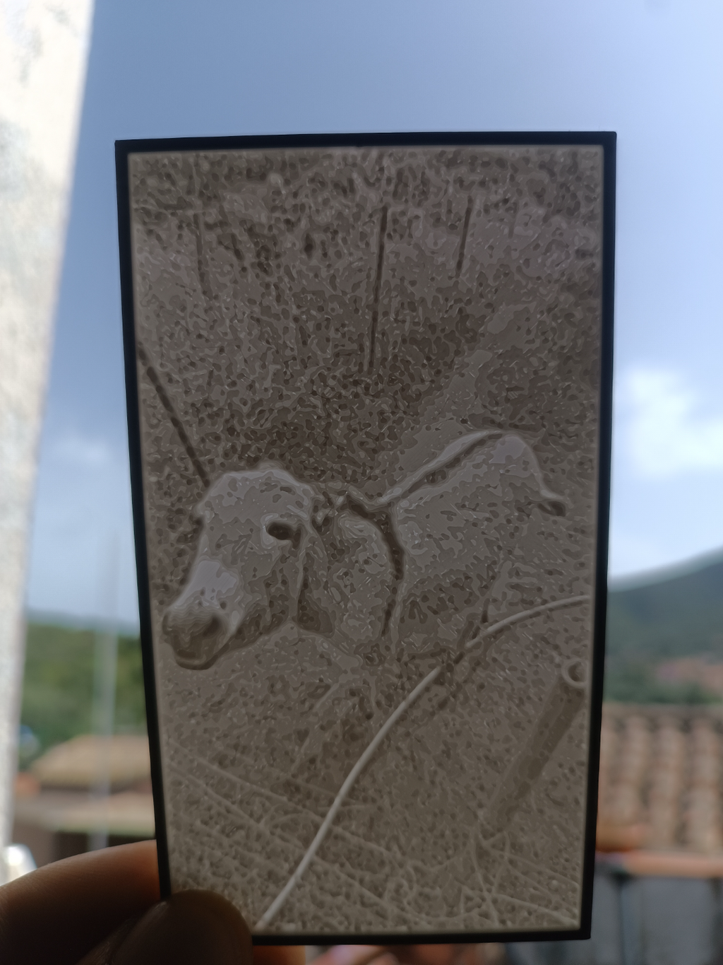 Lithophane asinella sarda