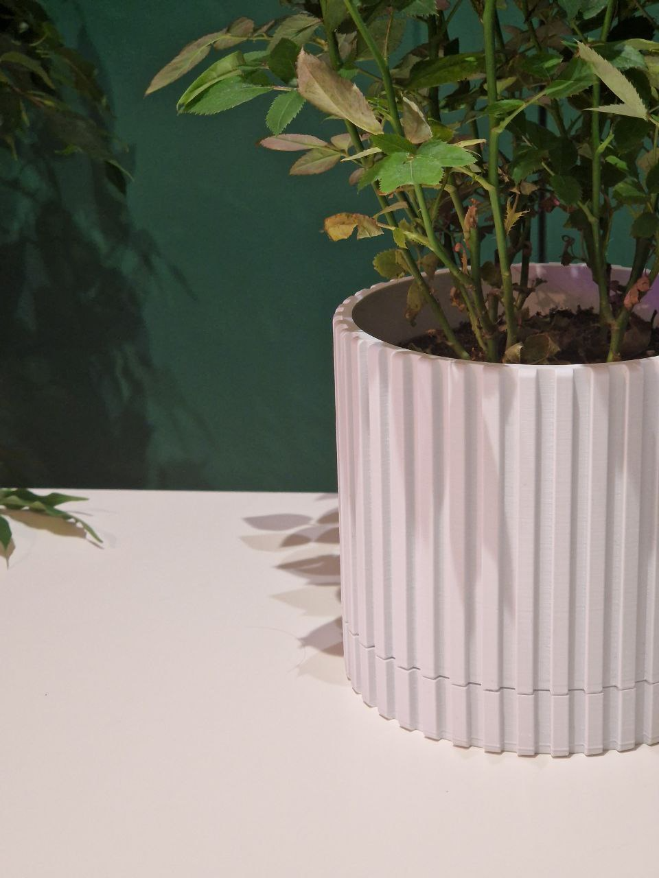 Simple Plant Pot