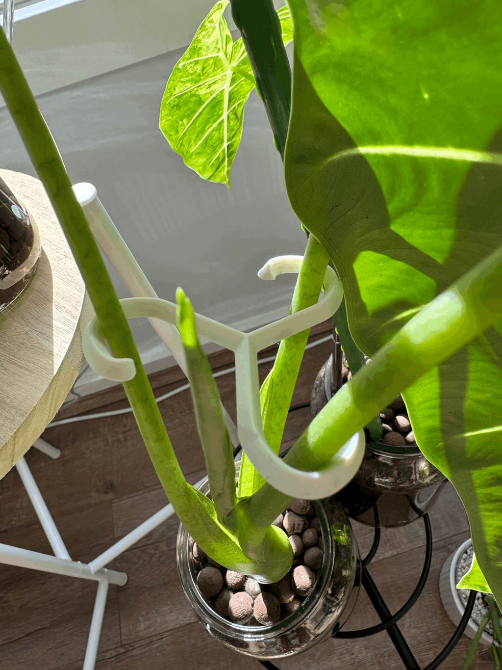 Plant Support Hooks