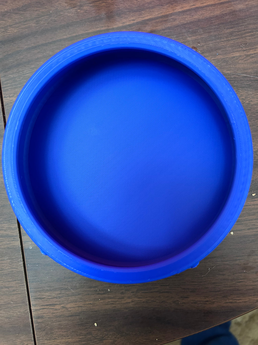 Dog Bowl
