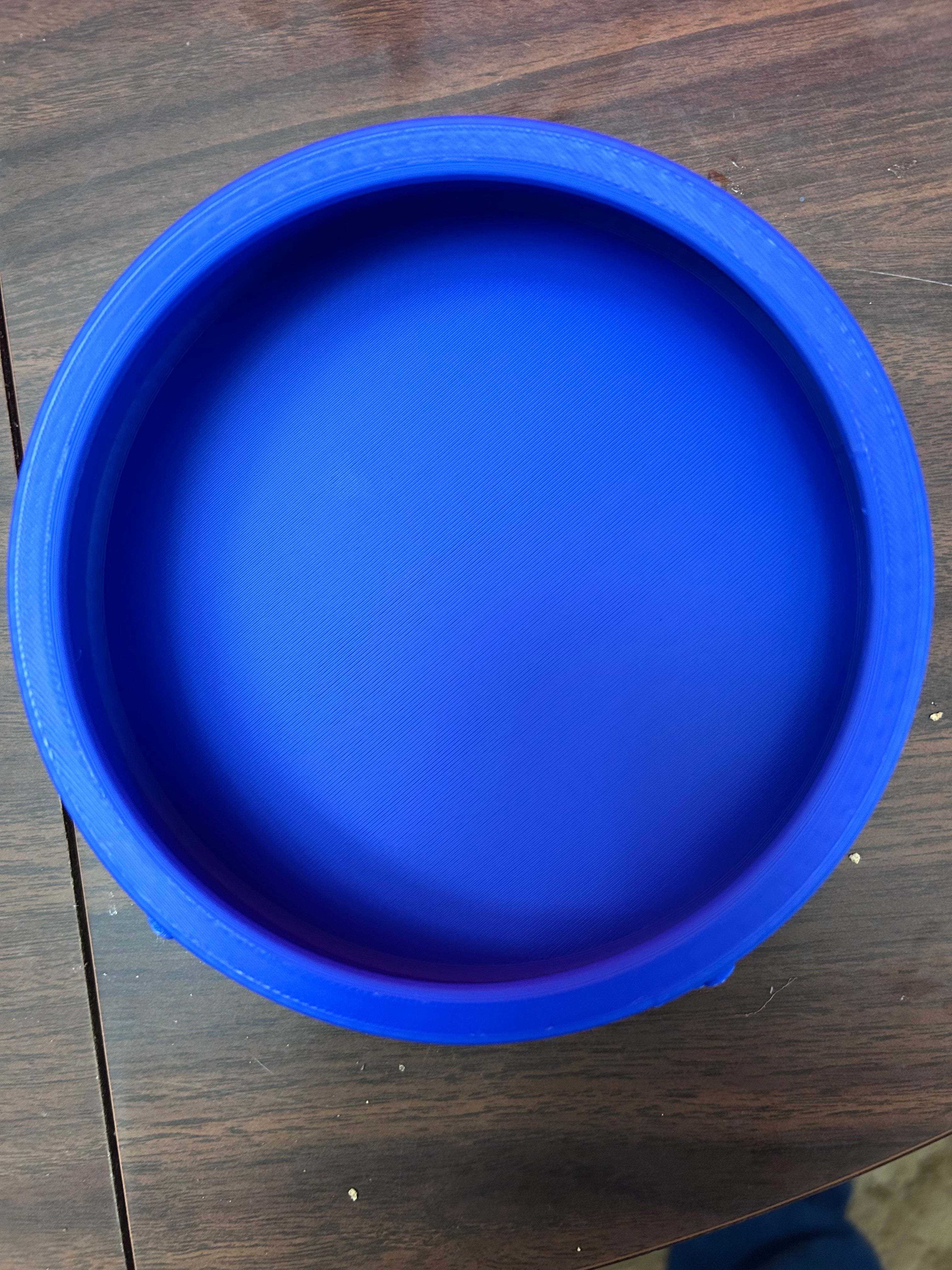 Dog Bowl