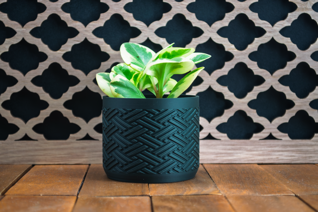 Indoor Plant Pot for Modern Home Decor