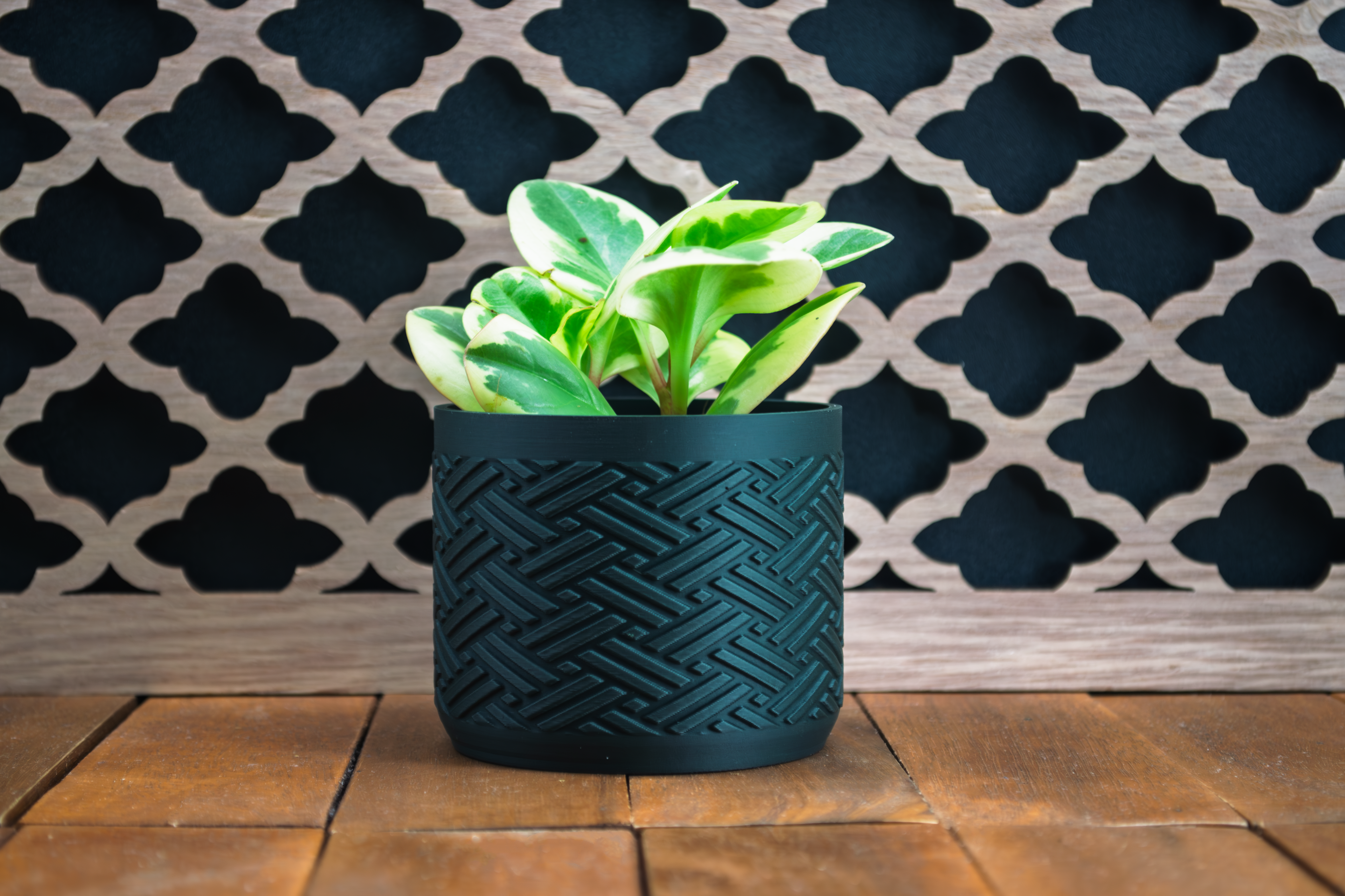 Indoor Plant Pot for Modern Home Decor