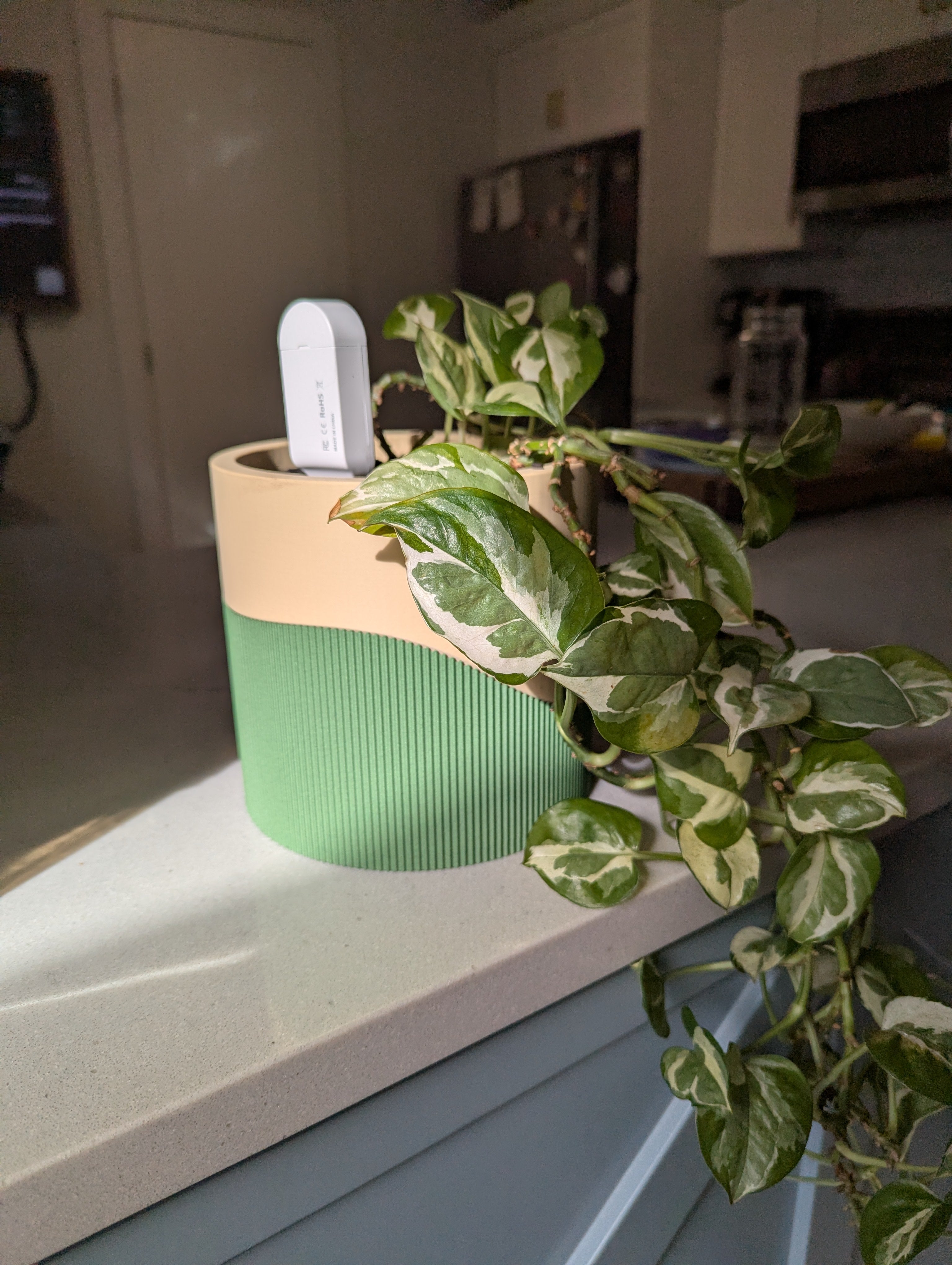 Bottom Watering Indoor Plant Pot