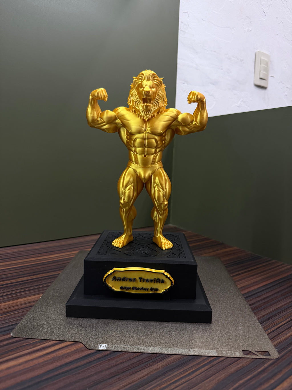 Gym lion throphy