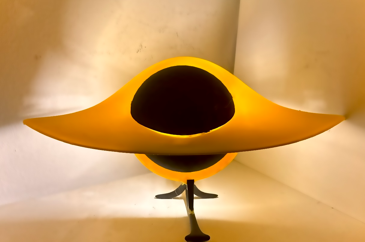 Black Hole Lamp