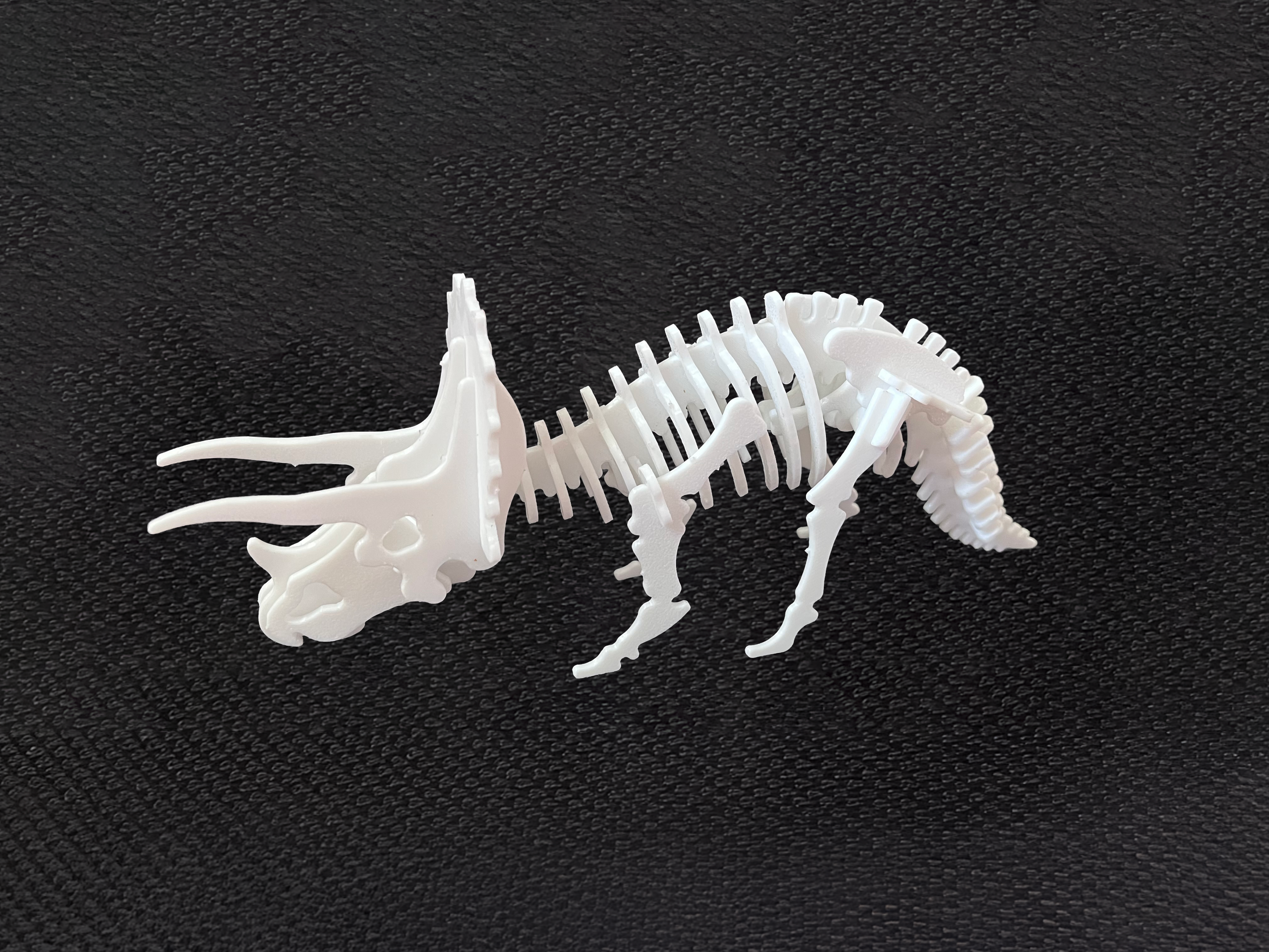 Triceratops Dinosaur Kit Card - DinoCards-CC BY-SA