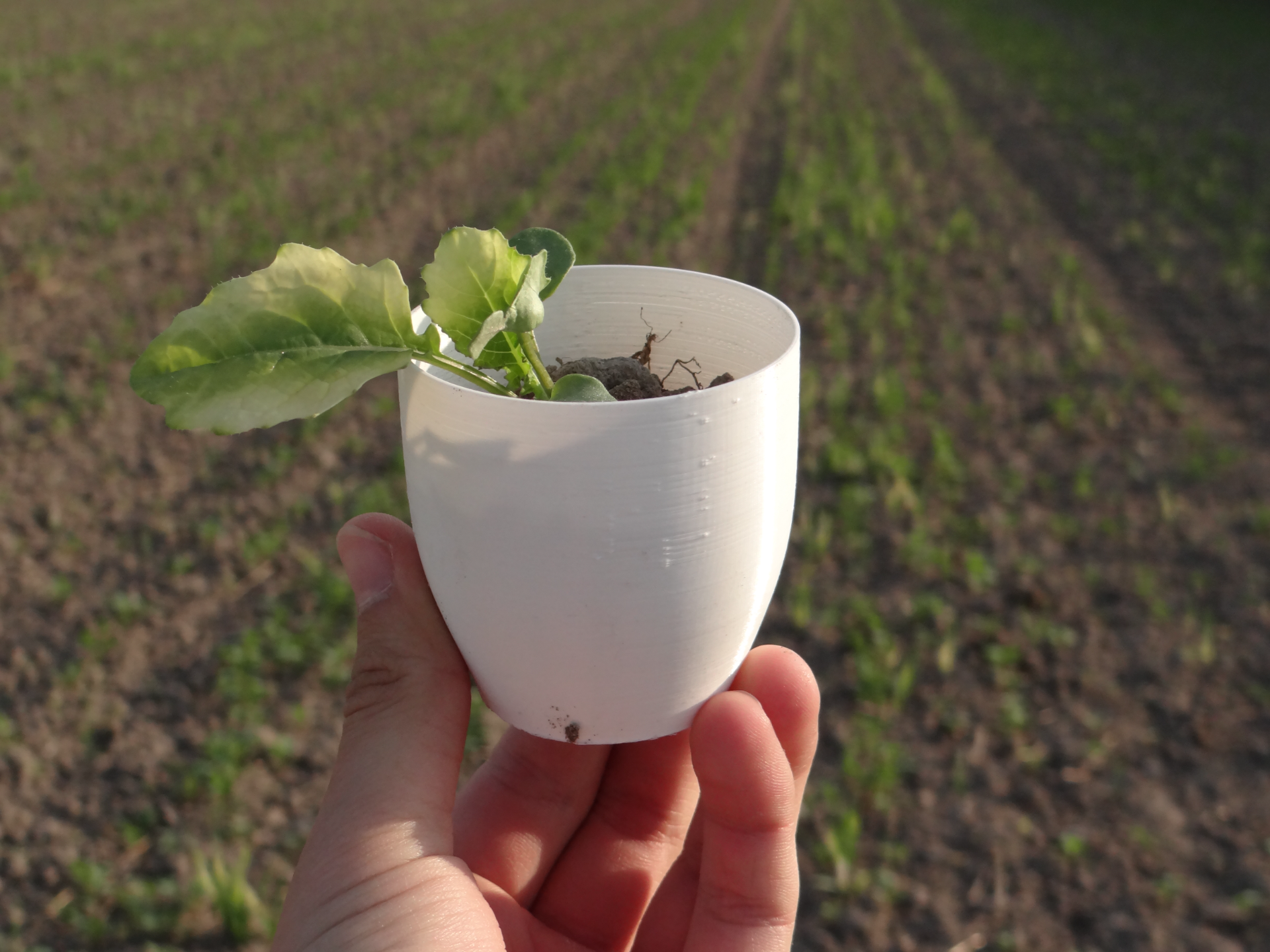 Simple Garden Tools
