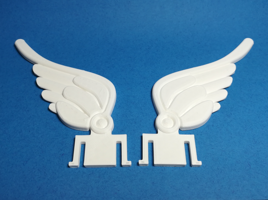 Wings for the hardhat