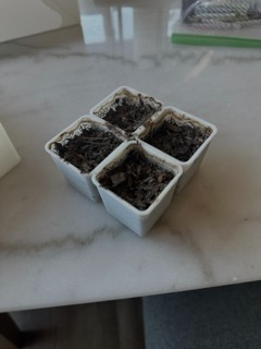 Seed Starter Auto Water