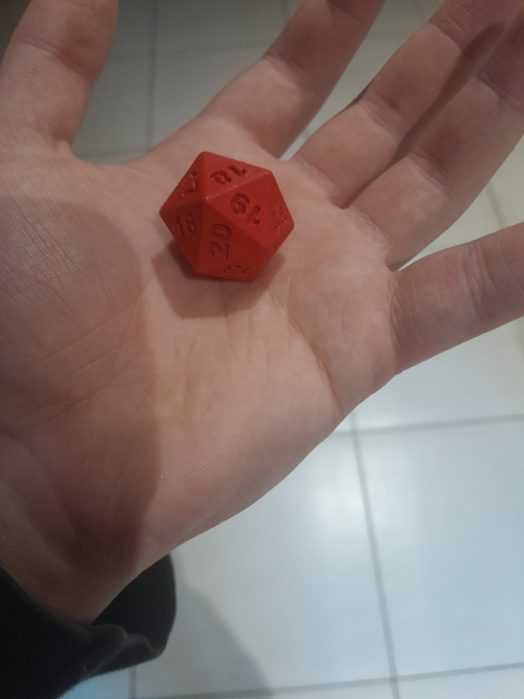 D20 100% infill 0.08mm layers