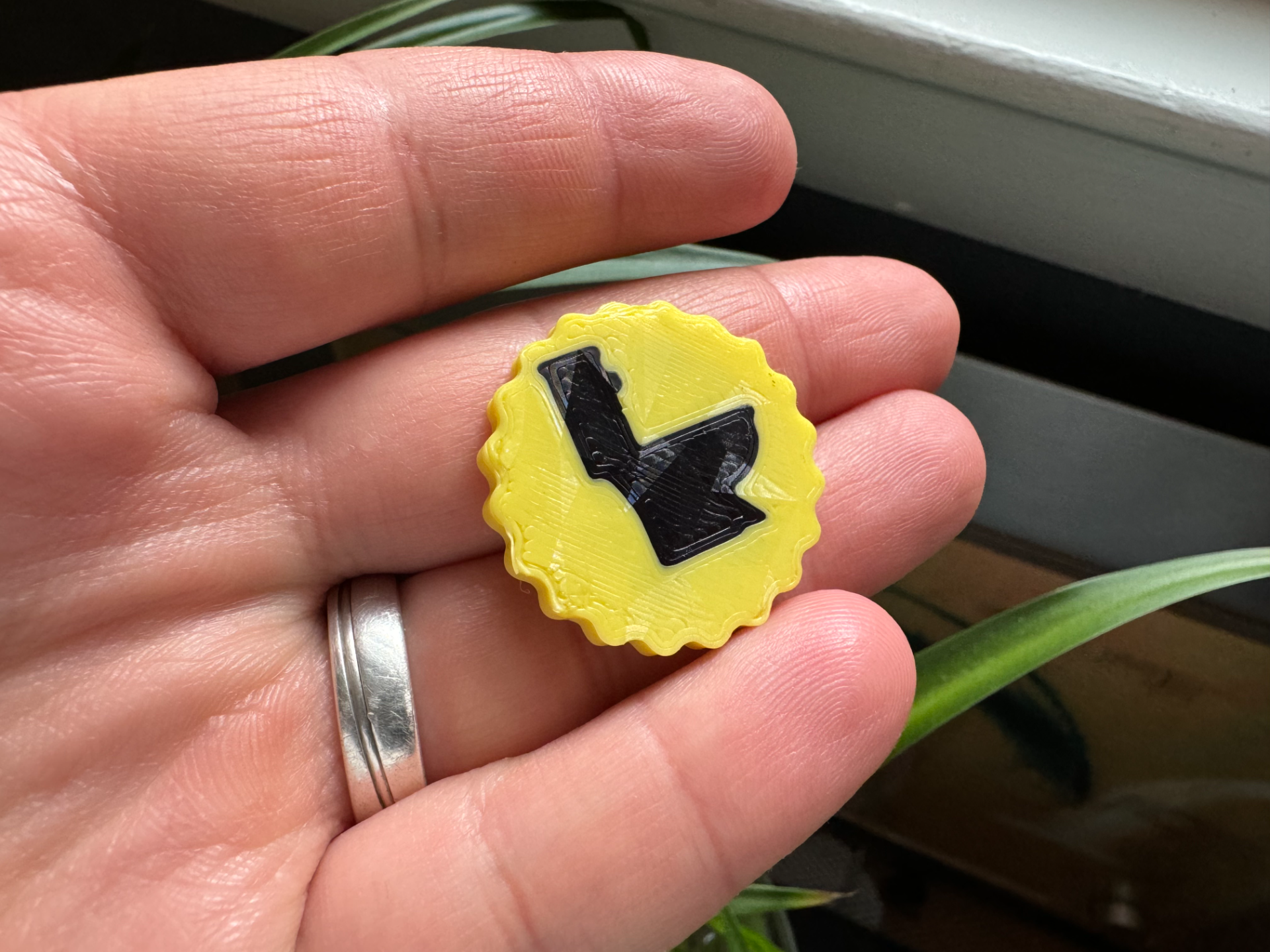 Potty Training iPad Watch Token