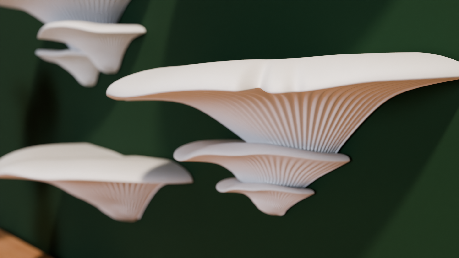 Mushroom Shelves easy installation