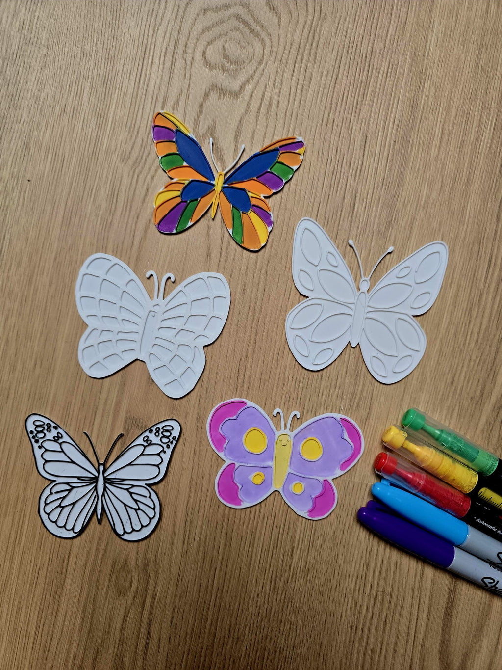 Cute Butterfly Insect Bugs DIY Coloring Set Gift
