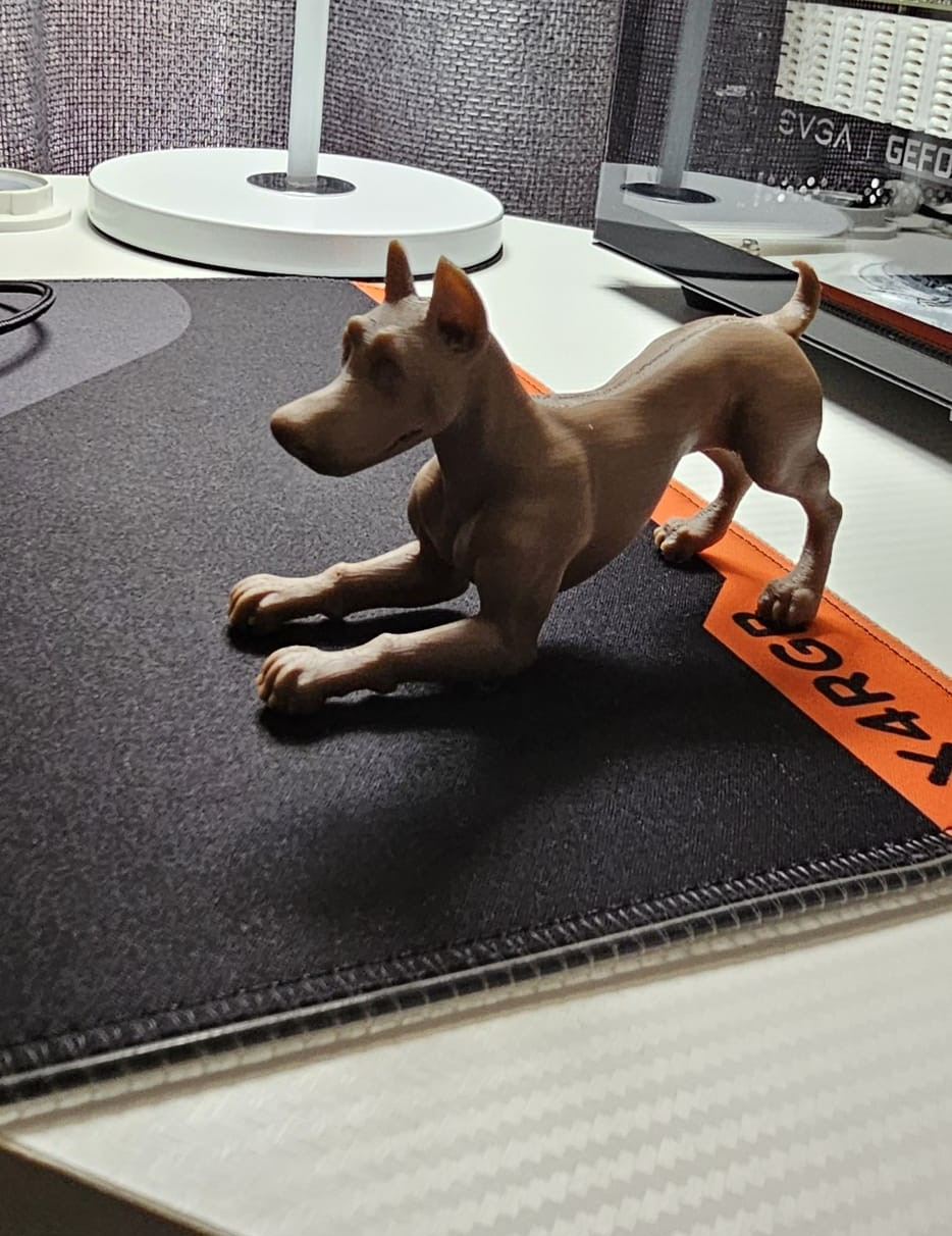 DOBERMAN(Realista