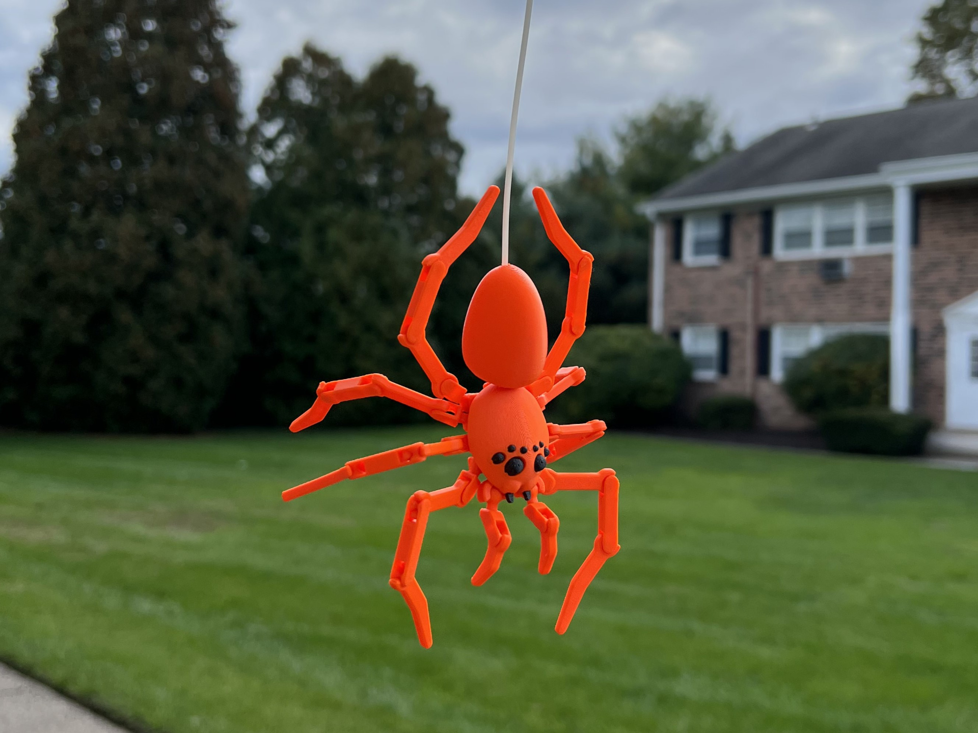 Articulated Spider
